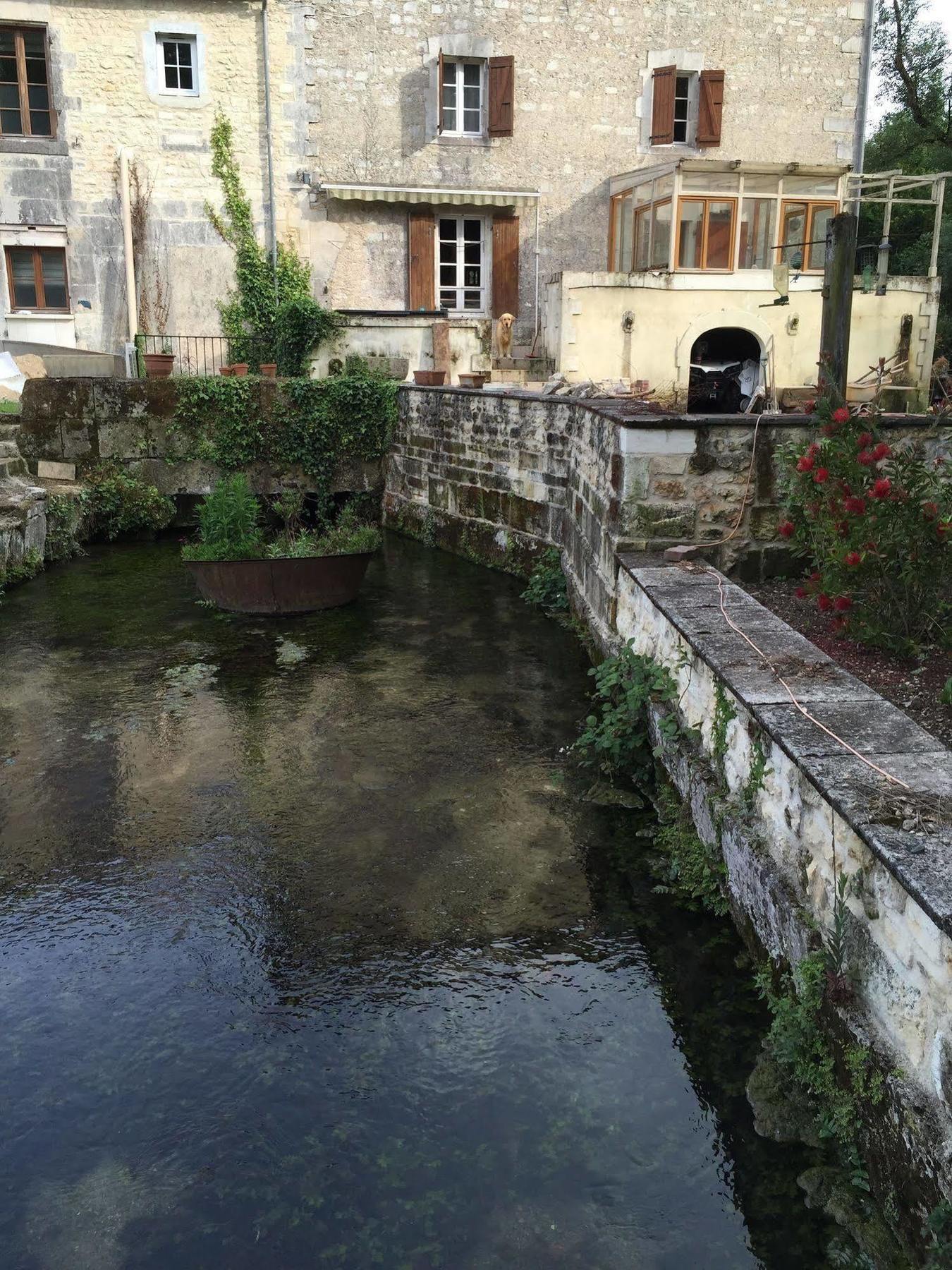 Petit Moulin De Veillard Βίλα Bourg-Charente Εξωτερικό φωτογραφία